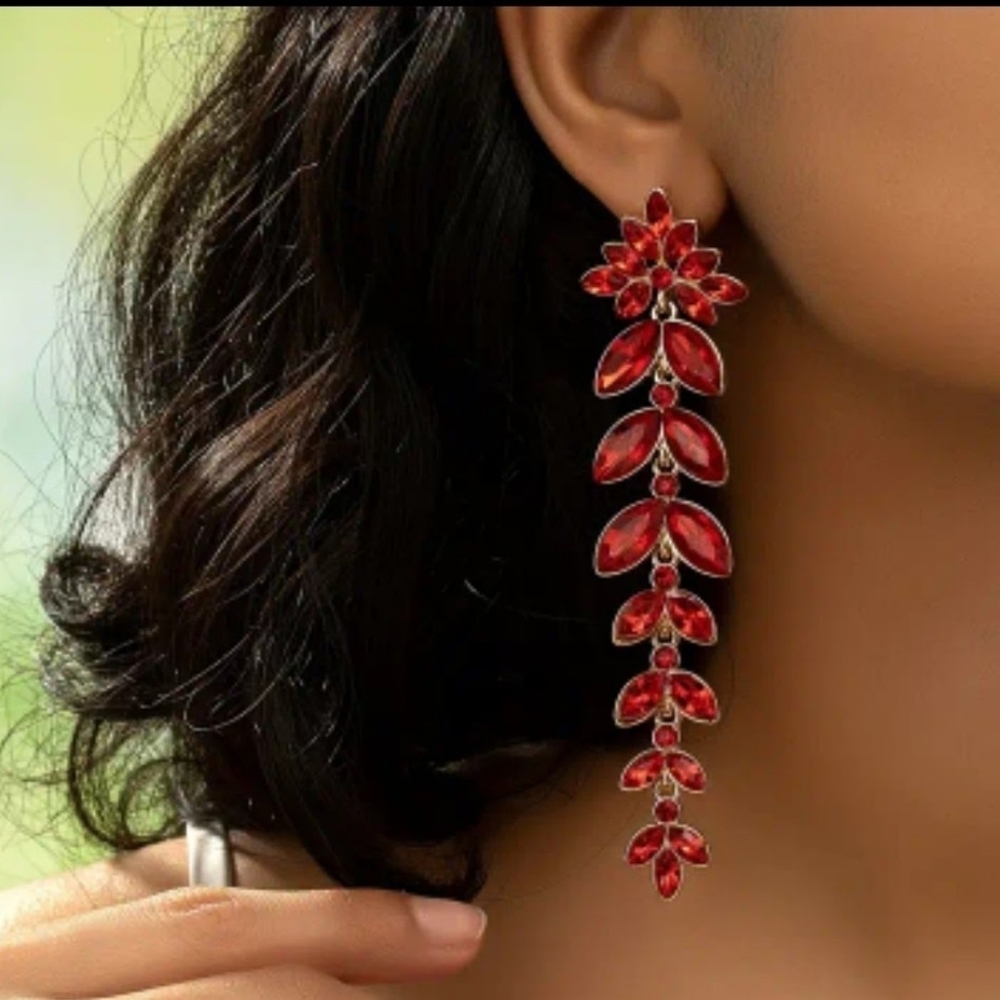 Earrings NWT